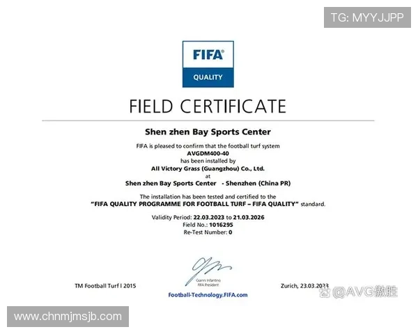 国际足联官网入口官方地址及登录流程详解，确保用户顺利进入 FIFA官方平台