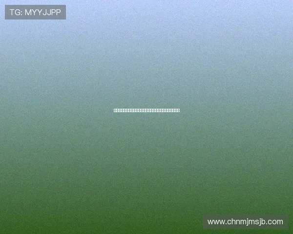 最新世界杯新闻播报带你了解球队动态与明星球员的最新表现